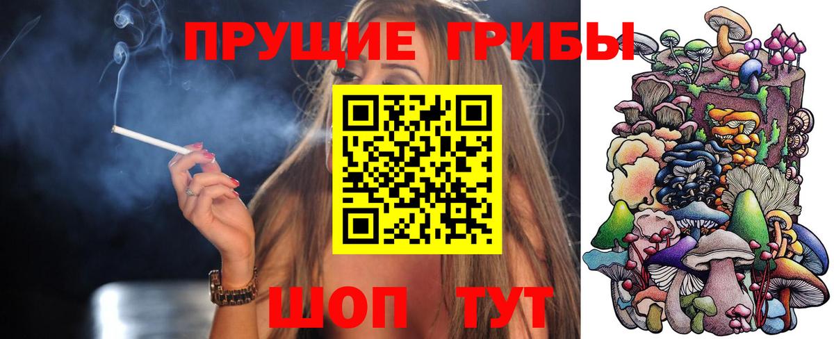 Псилоцибиновые грибы GOLDEN TEACHER Сатка